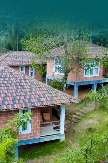 Ranches Wayanad Delux Cottage AC