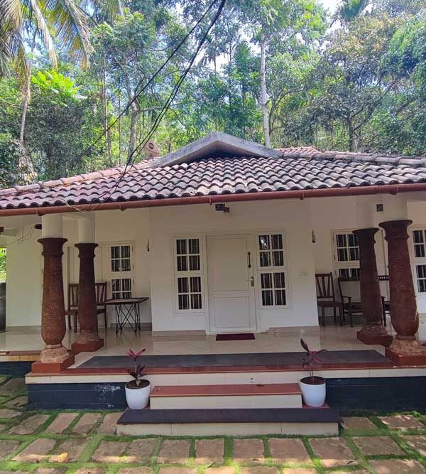 best luxury resorts in Wayanad