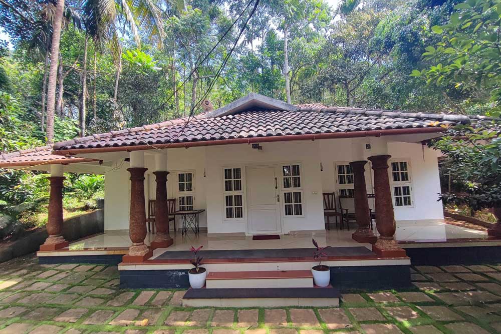 best luxury resorts in Wayanad